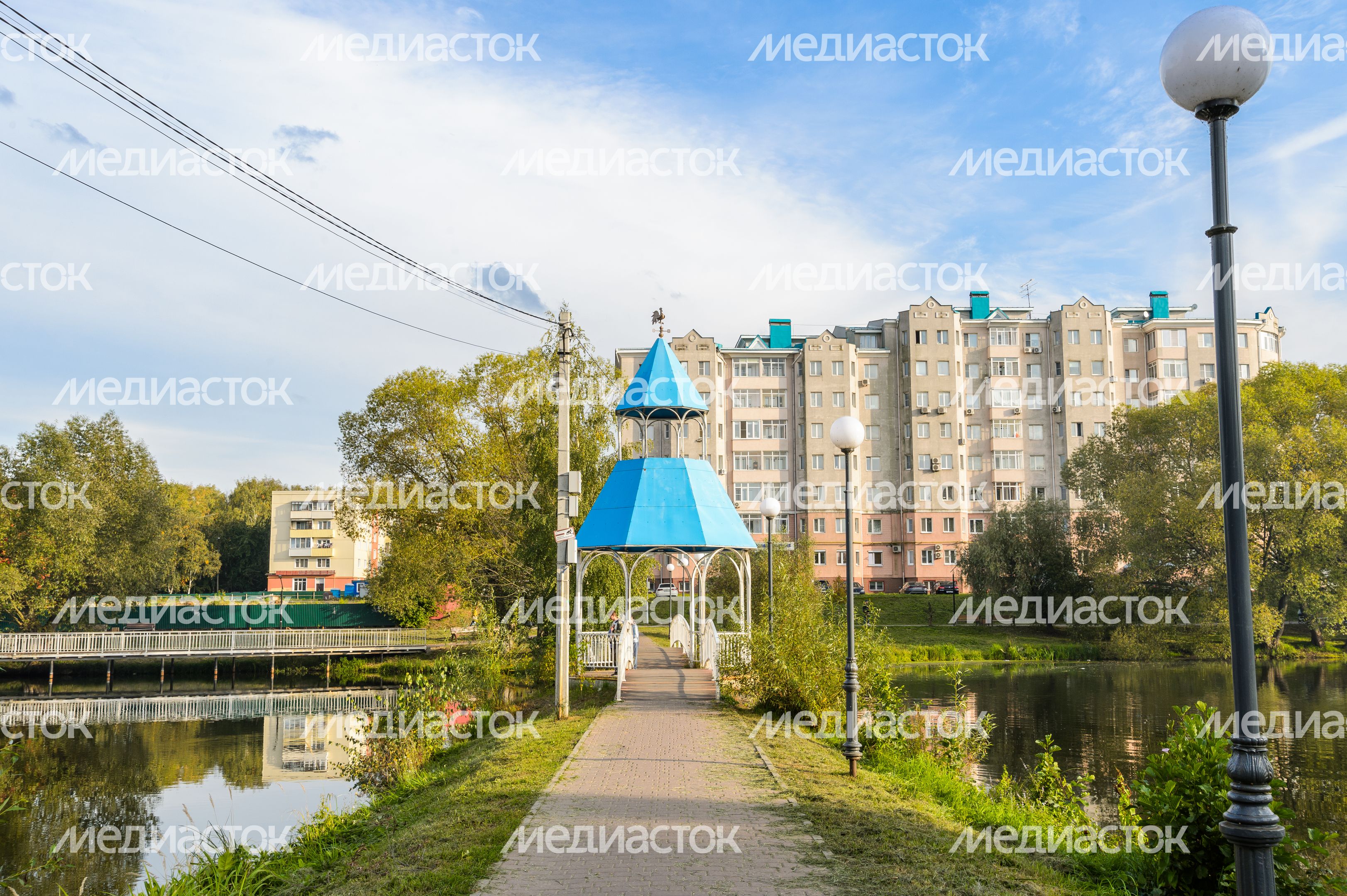 Бронницы. Кожурновский пруд Бронницы. Кожурновский пруд