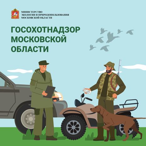 Обложки