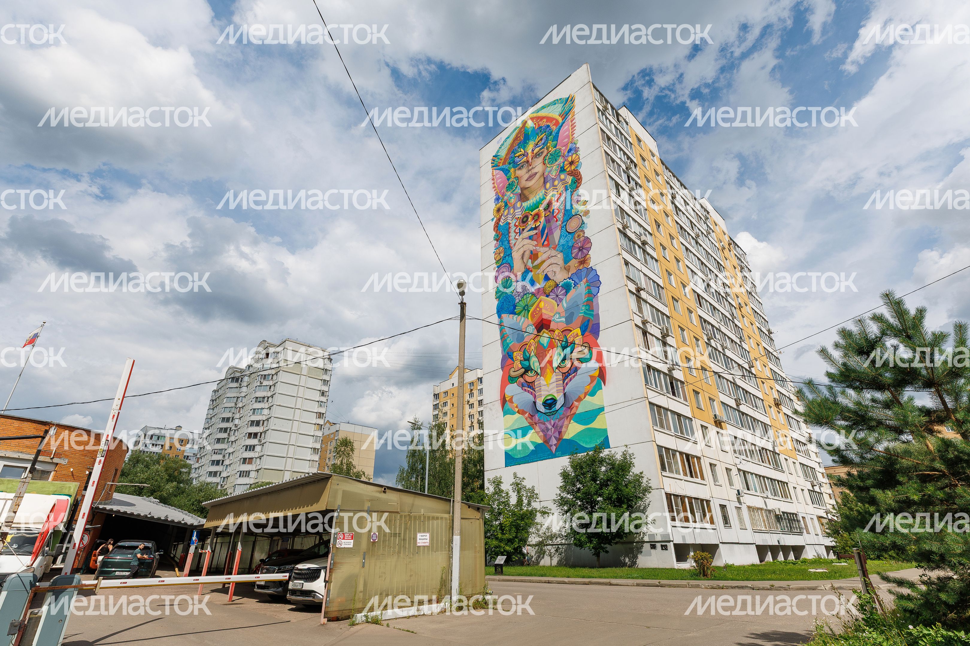 Муралы в Железнодорожном, Балашиха