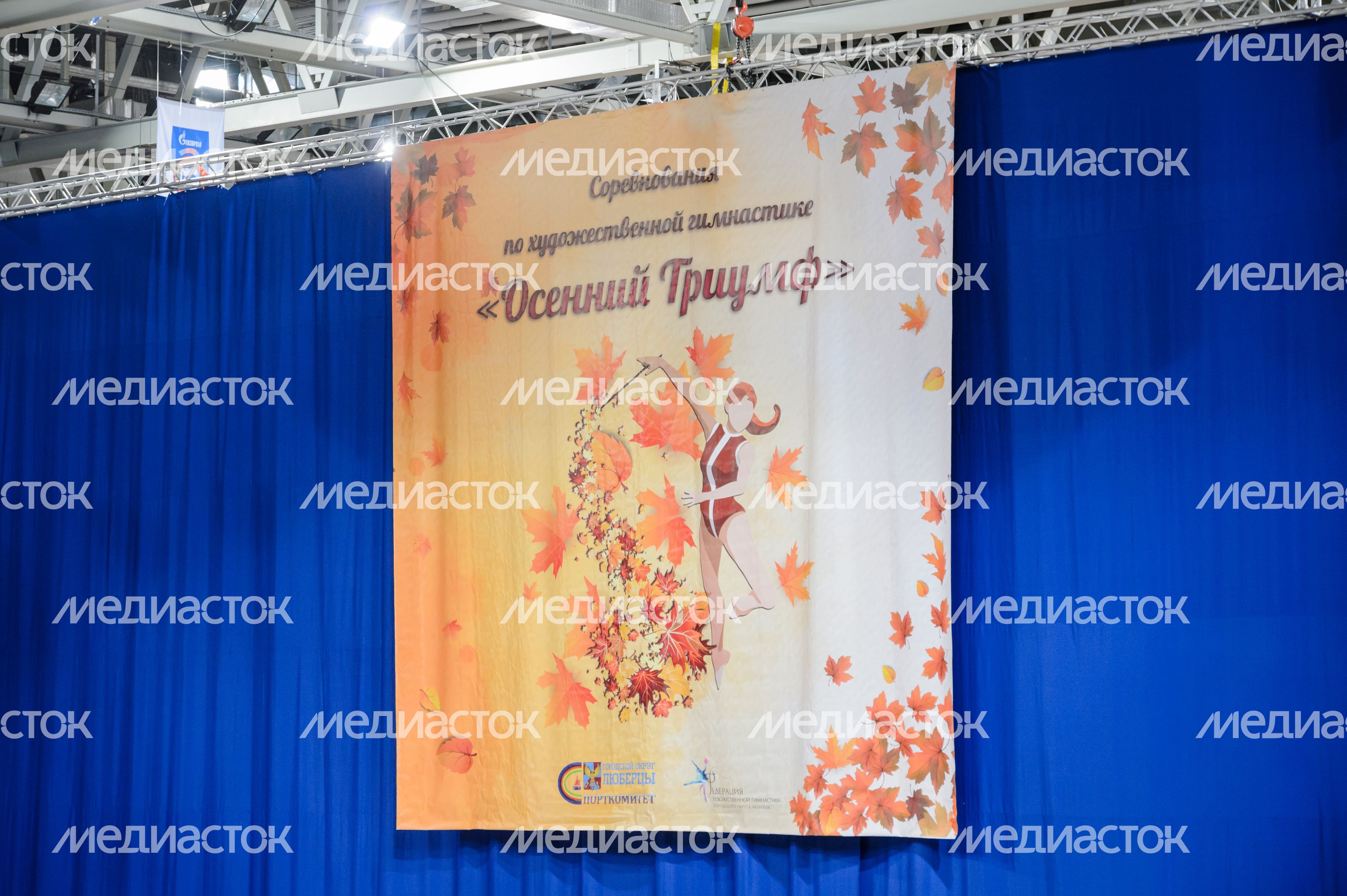 Люберцы. Соревнования по художественной гимнастике