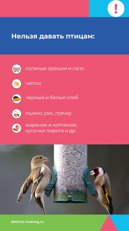 Синичкин_день_вертикаль_05.jpg