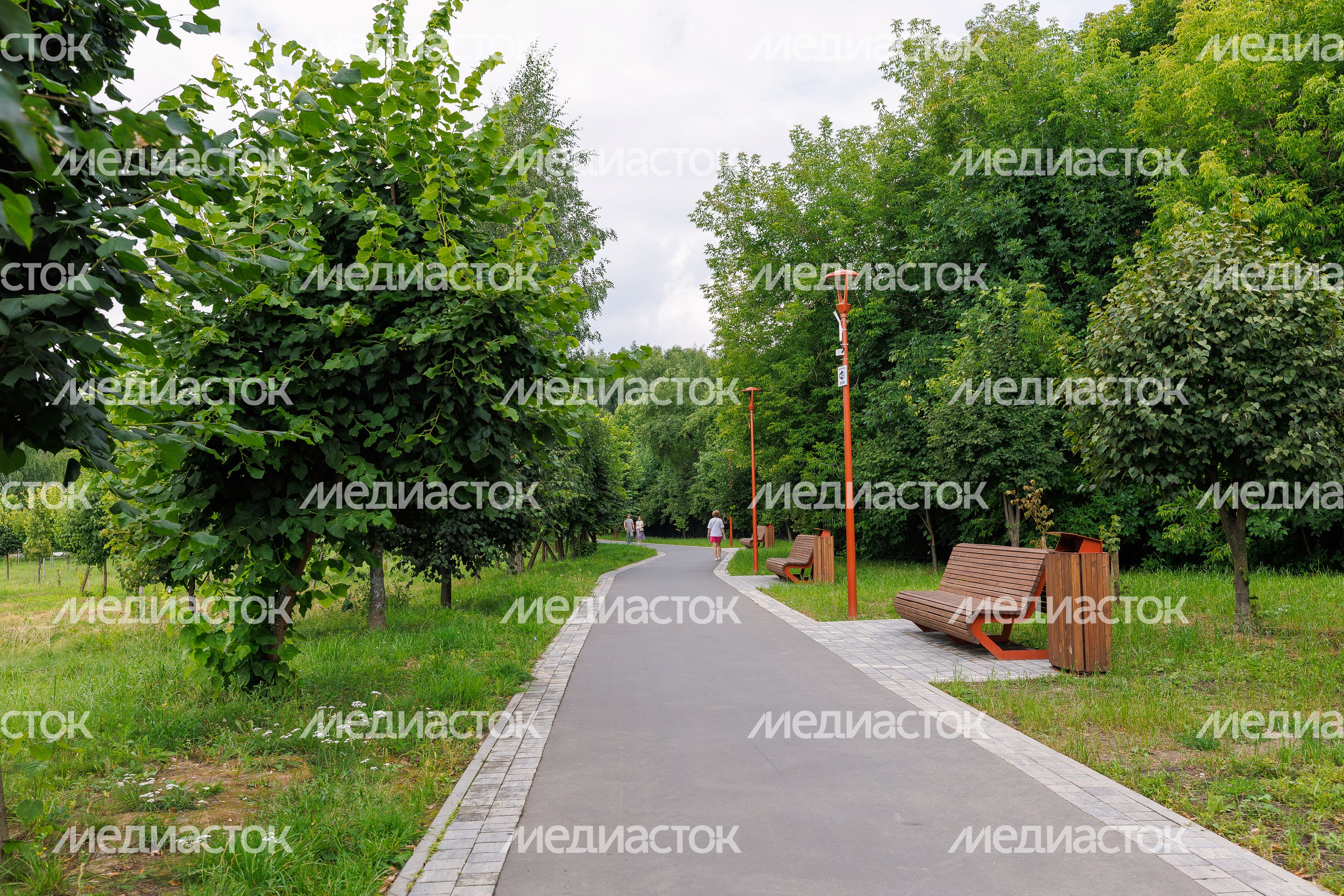 Парк "Липовая аллея" в Электроуглях