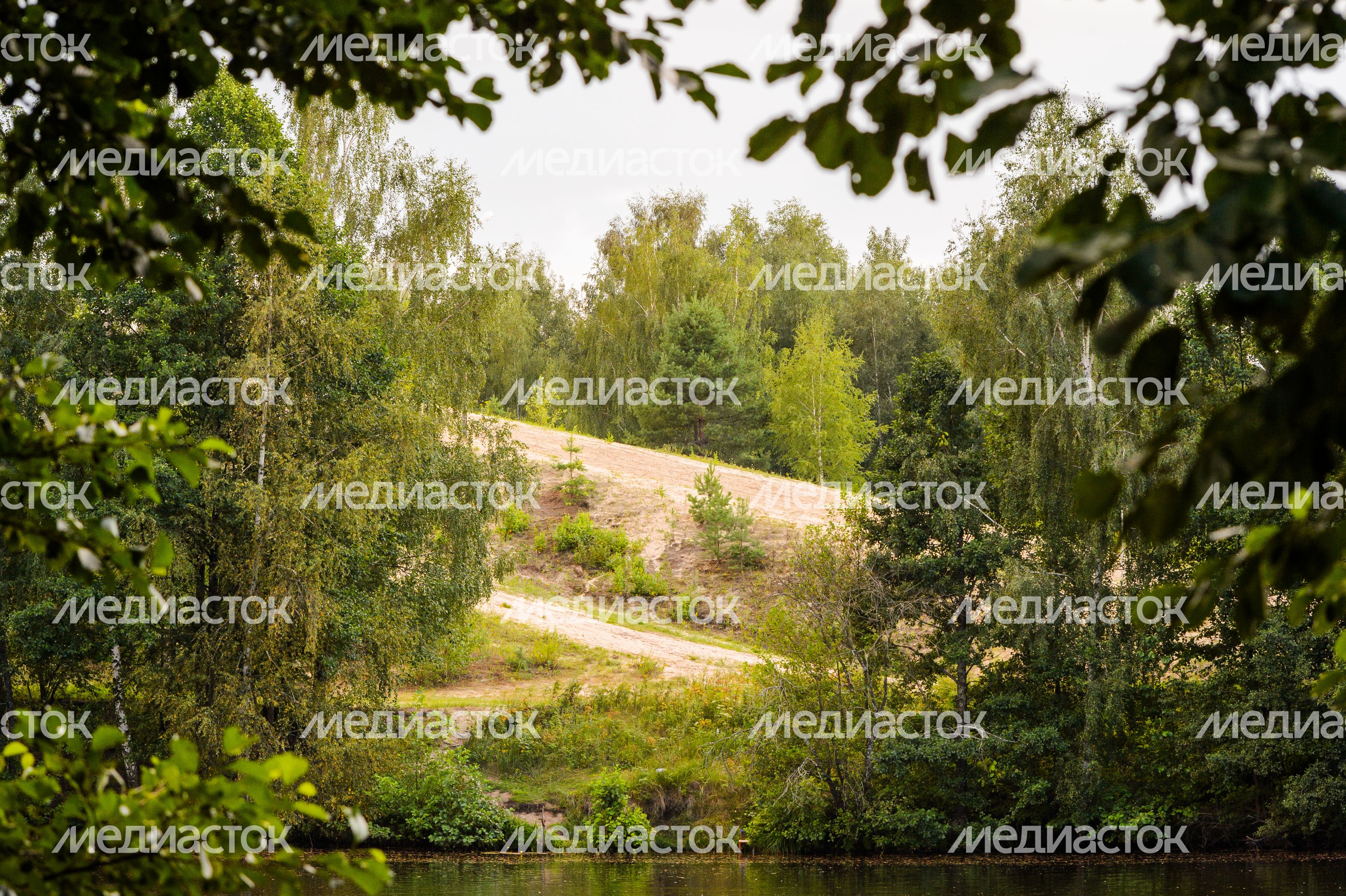 Горокруг Черноголовка. Летние виды реки Черноголовки