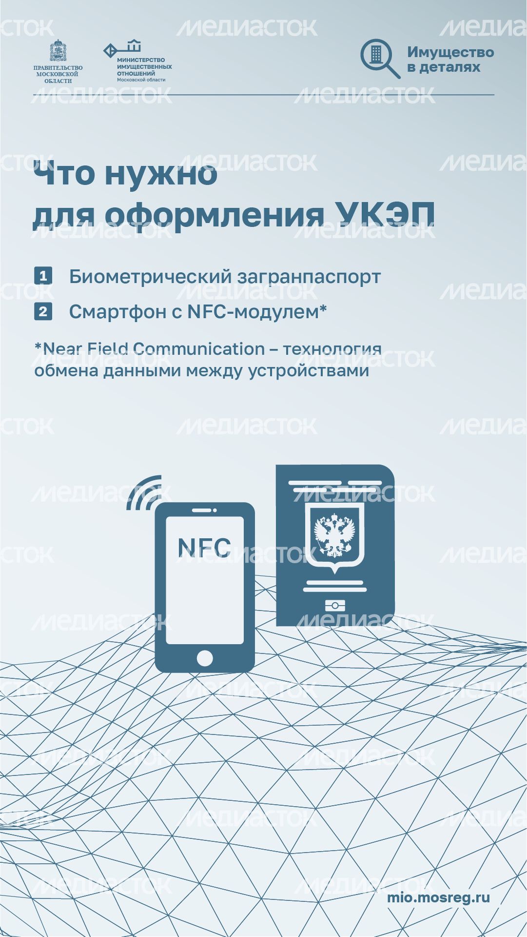 вертикали приложение госключ 03.png