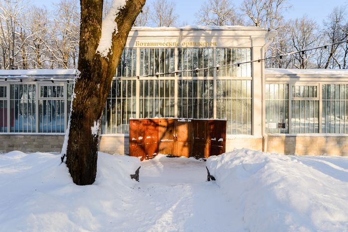 Красногорск. Усадьба «Архангельское». Зима