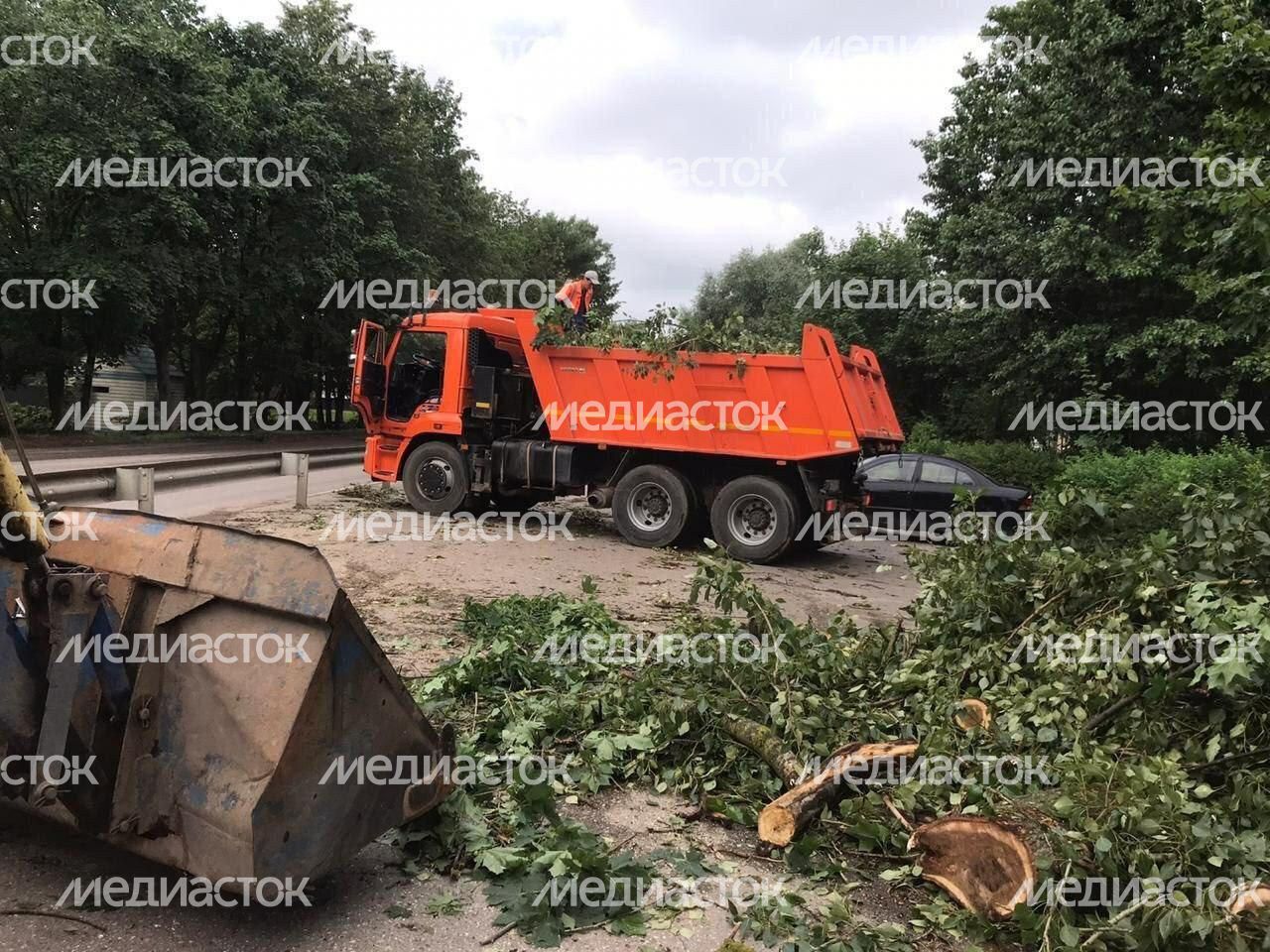 Подтопления в жилом секторе и на проезжей части в Московской области