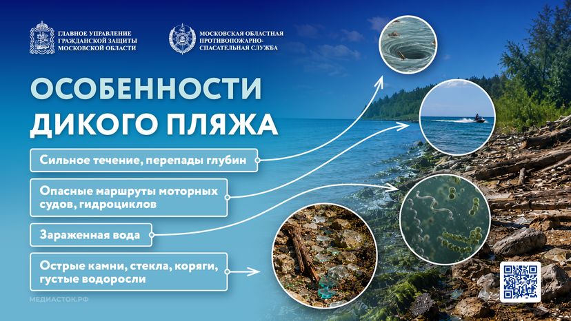 Особенности диких пляжей 2026 Горизонталь 01