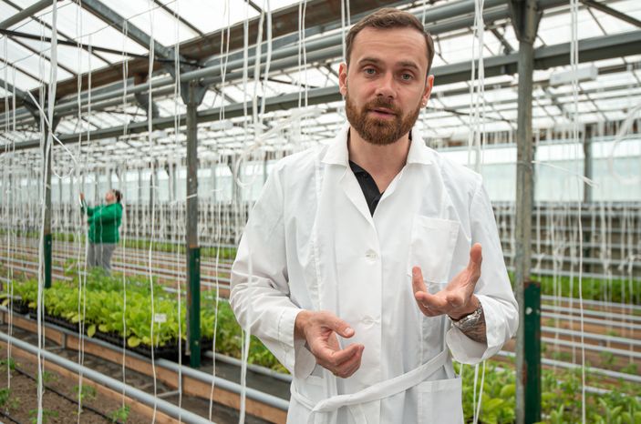 Теплицы крупного семеноводческого агропромышленного комплекса ООО «Агрофирма Партнер»