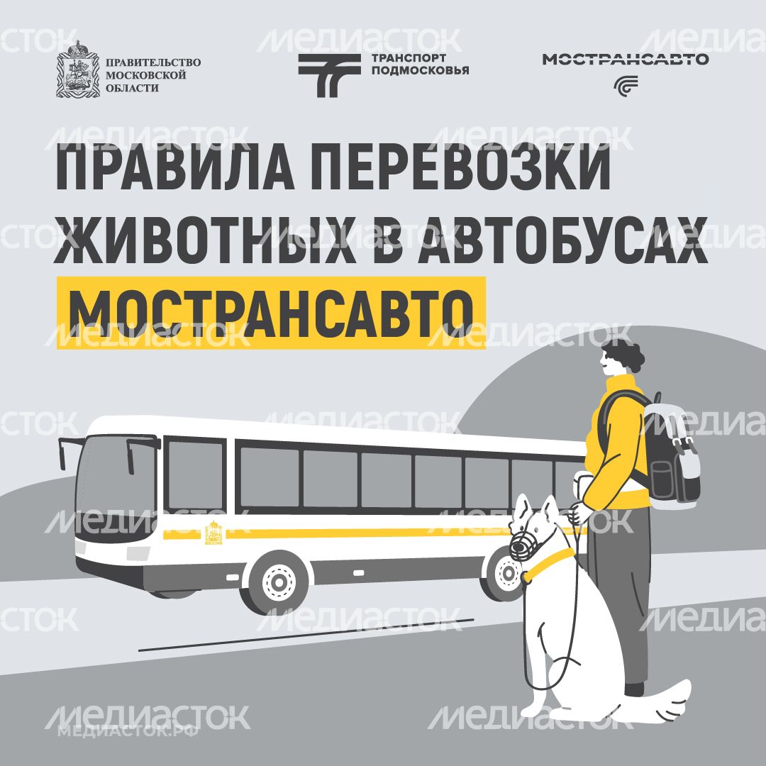 Правила перевозки животных квадрат 01