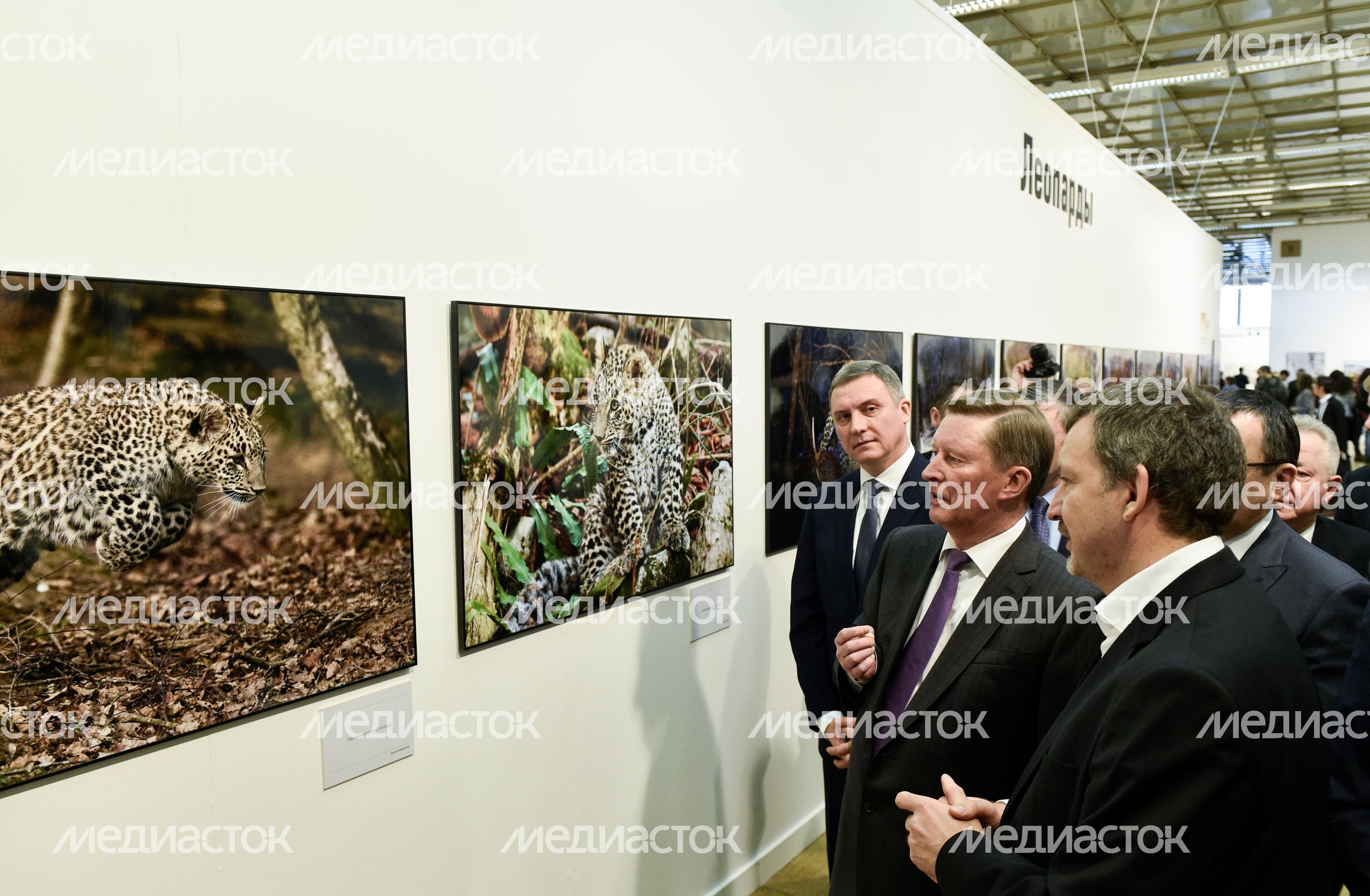 Открытие выставки «Первозданная Россия» в Москве