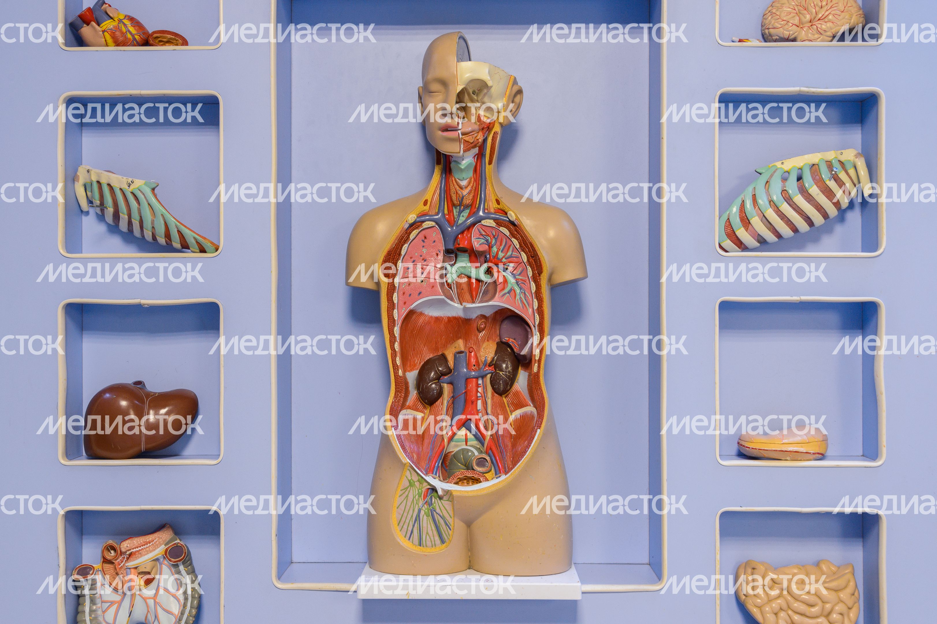 Квест-музей Эйнштейна в Ногинске Квест-музей Эйнштейна в Ногинске