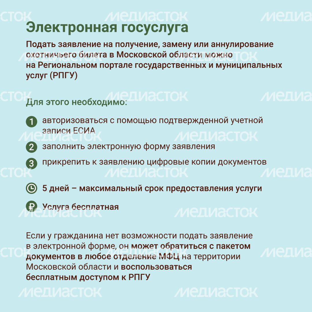 Охотничий билет квадрат (2).png