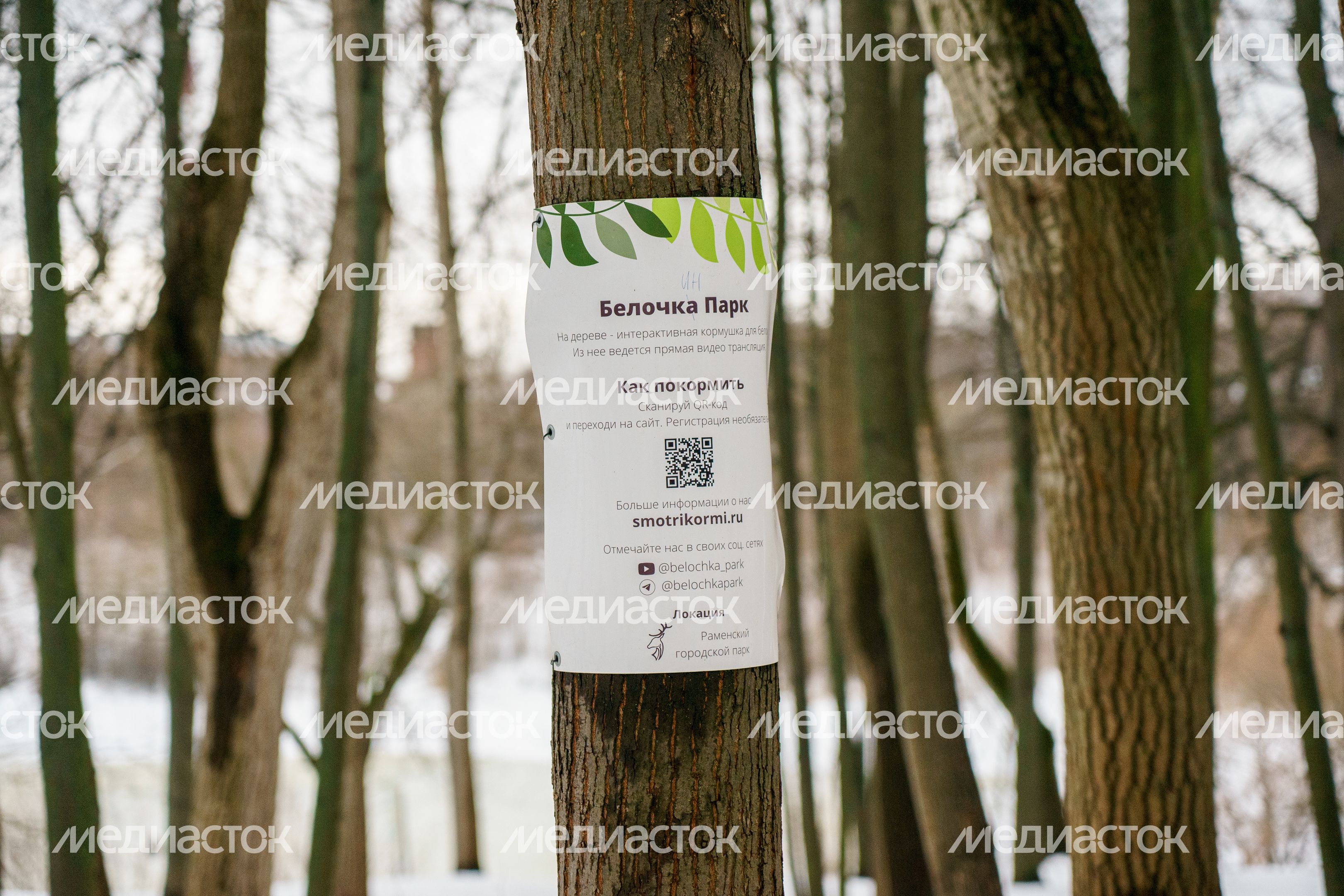 Раменский городской парк культуры и отдыха зимой Раменский городской парк культуры и отдыха зимой