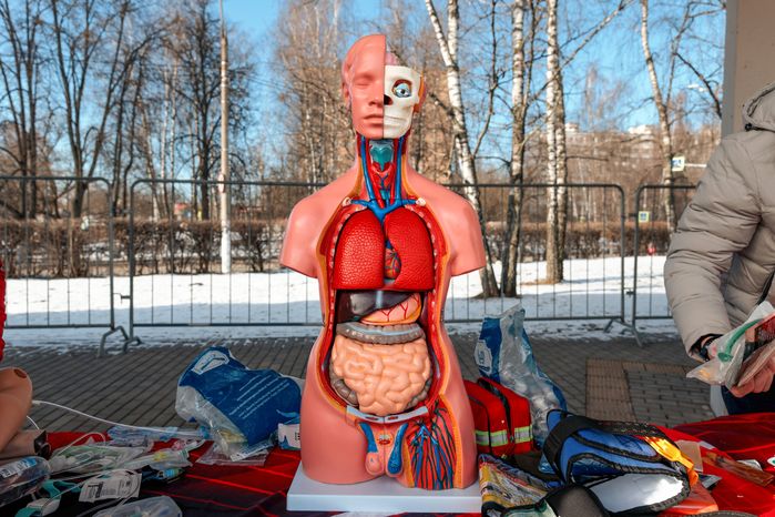 Спортивно-патриотическая акция «Быть здоровым – это модно!» в Красногорске