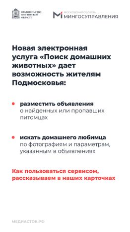 Домашние животные вертикаль 02