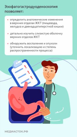 ЭГДС слайд 3 вертикаль 01