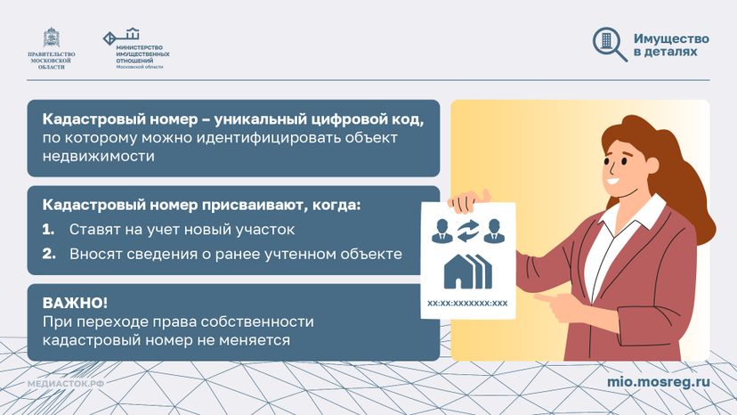 Что такое кадастровый номер участка горизонталь 02