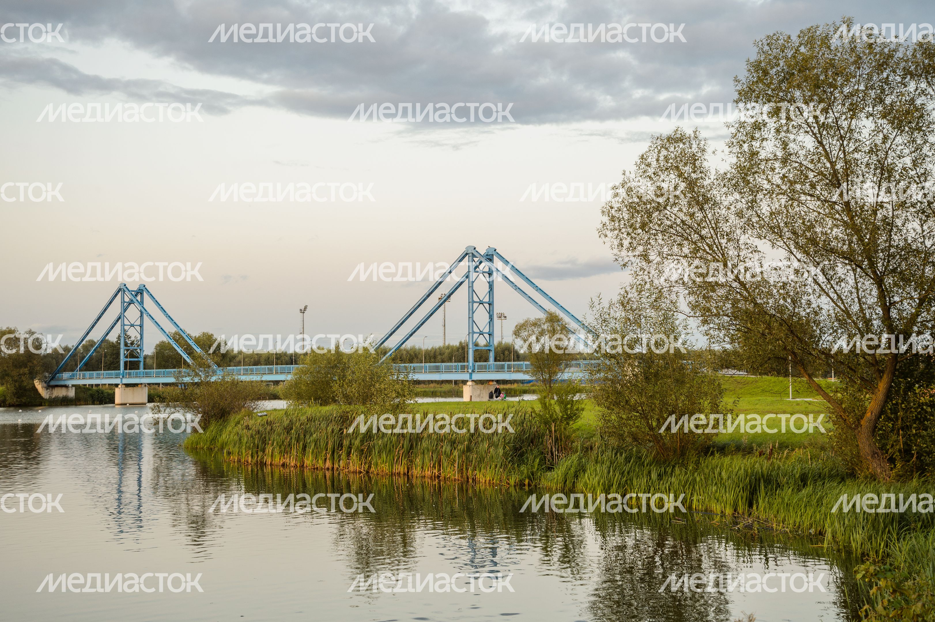 Бронницы. "Крымский мост" Бронницы. "Крымский мост"
