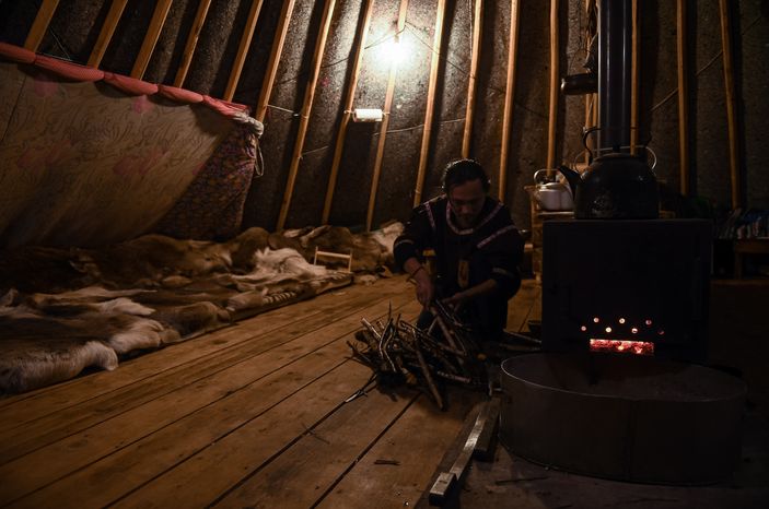 Зоостудия «Ковчег»