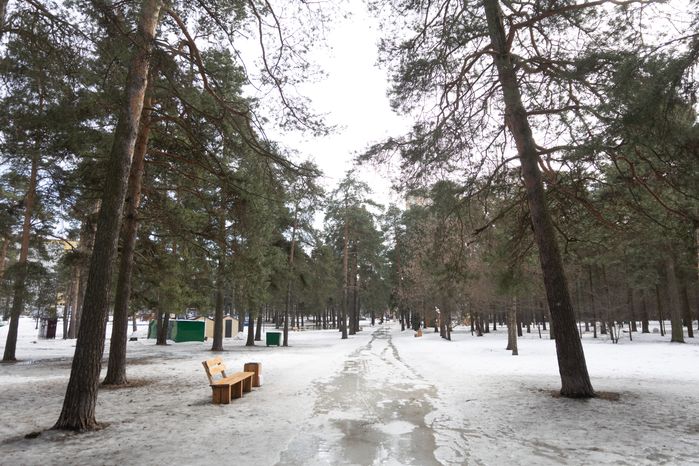 Кузьминский лесопарк