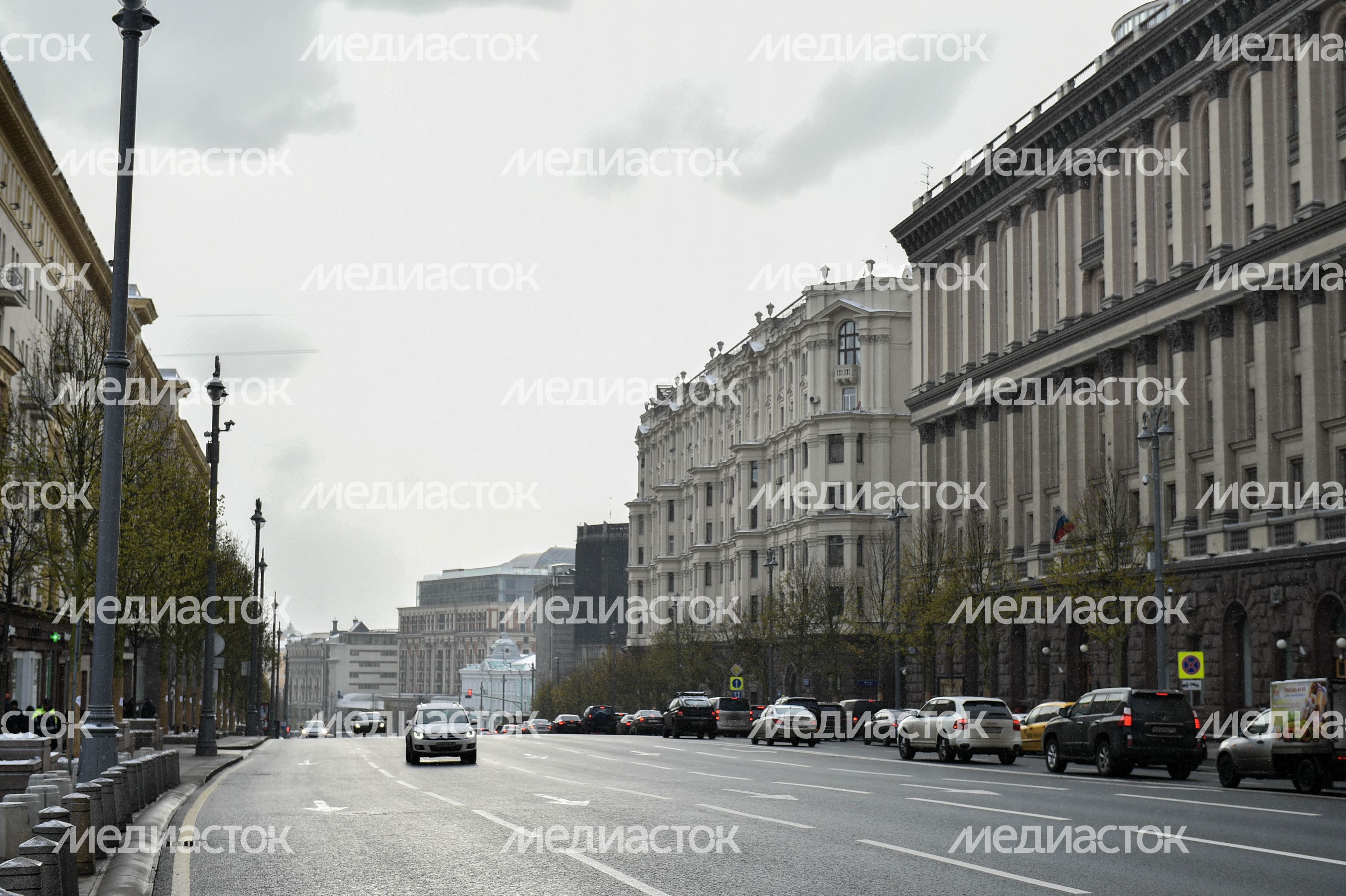 Посадка лип на Тверской улице