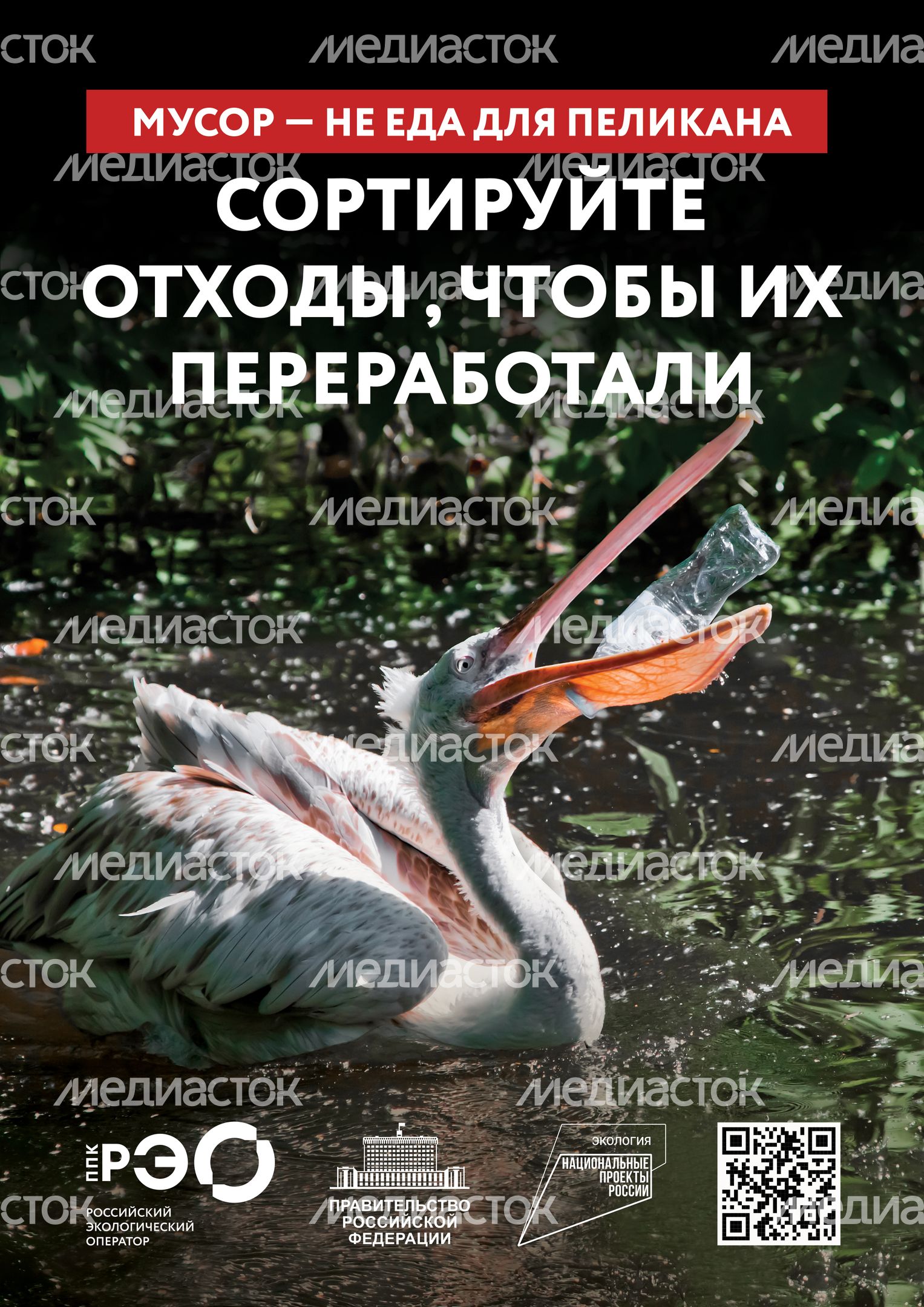 Seria 9 animal poster _A2_5
