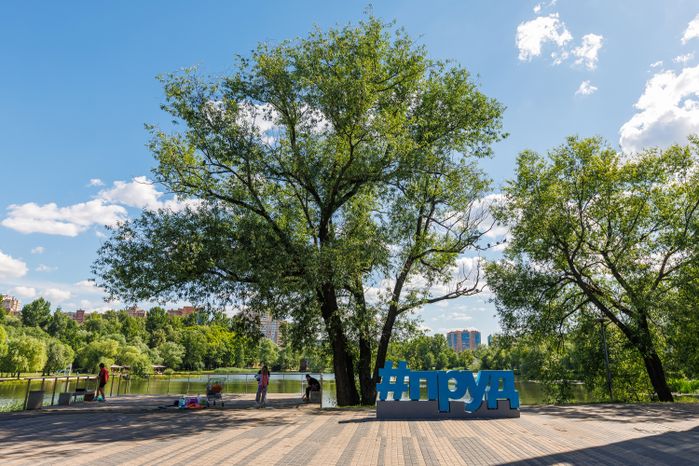 Лето в парке «Фабричный пруд» в Реутове