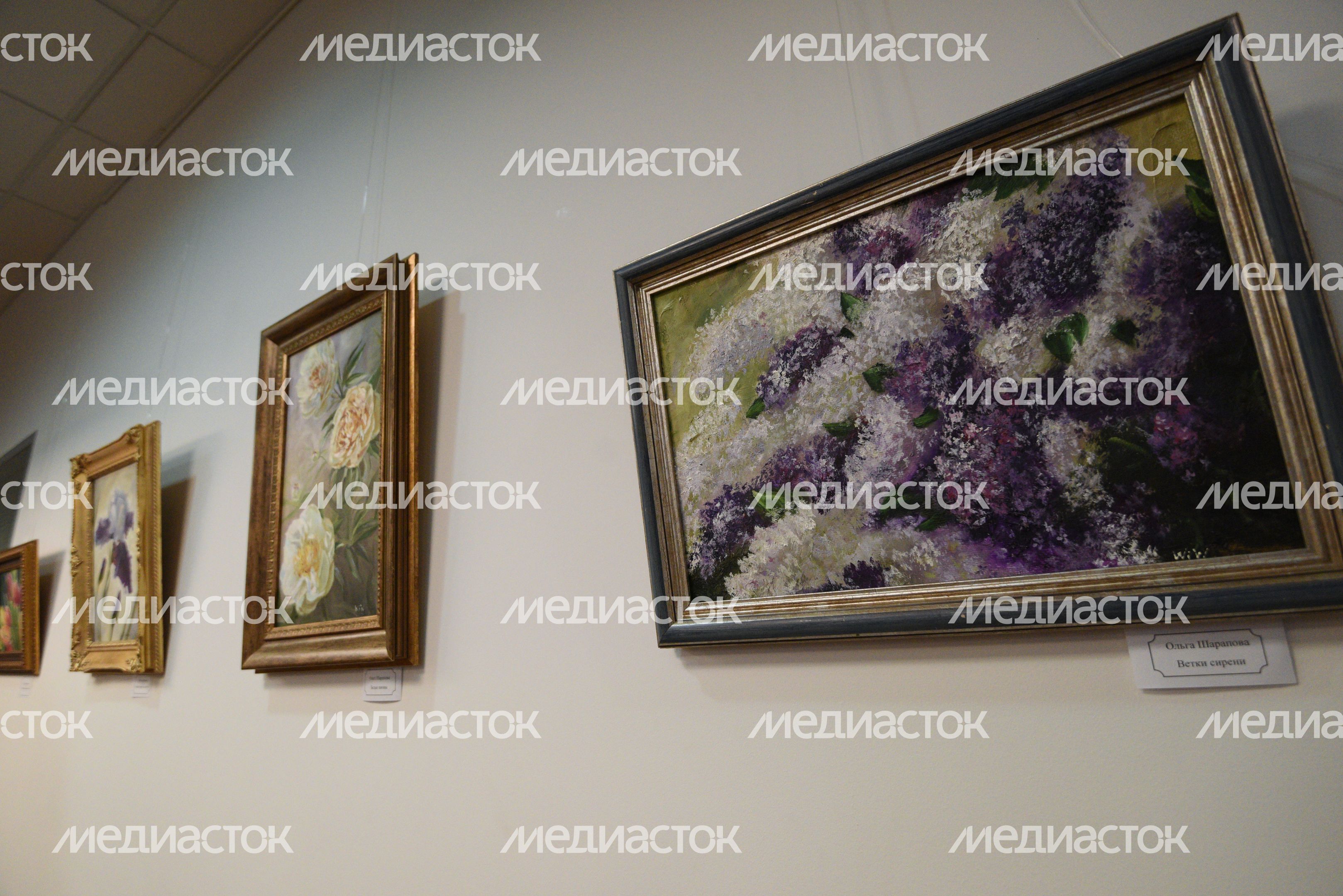 Открытие выставки «Европейские улицы» художника Ольги Шараповой в Москве