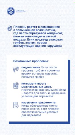 Вертикаль Плесень 03.jpg