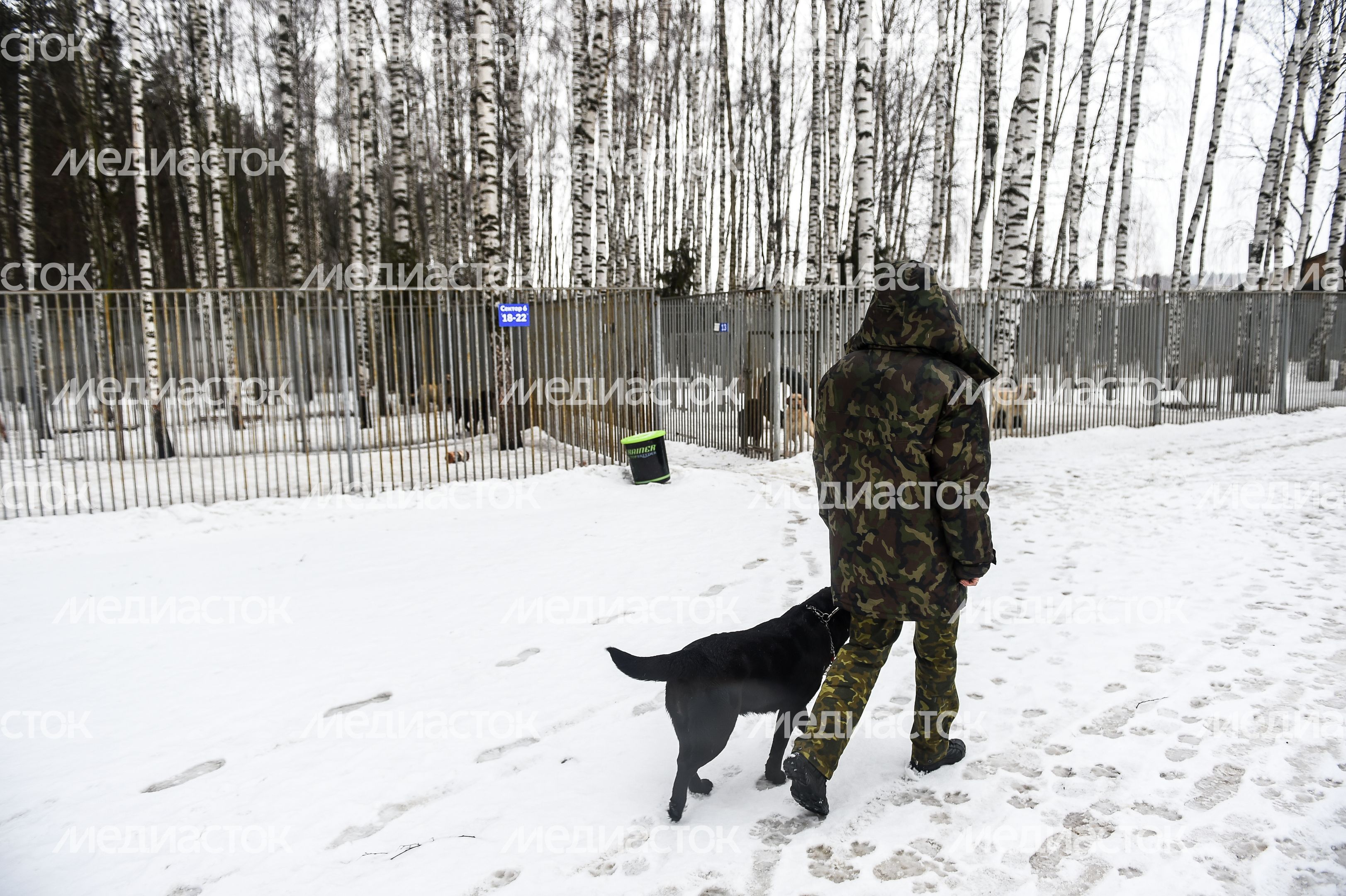 Школа собак‑проводников в Подмосковье Школа собак‑проводников в Подмосковье