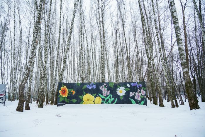 Кашира. Городской парк. Зима