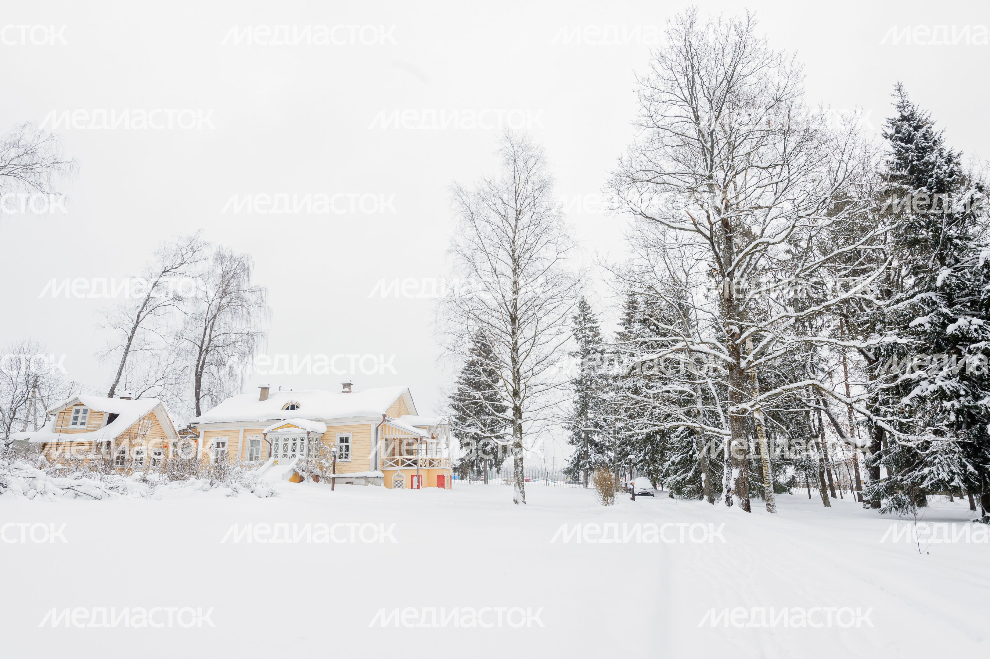 Музей-заповедник "Мураново" зимой