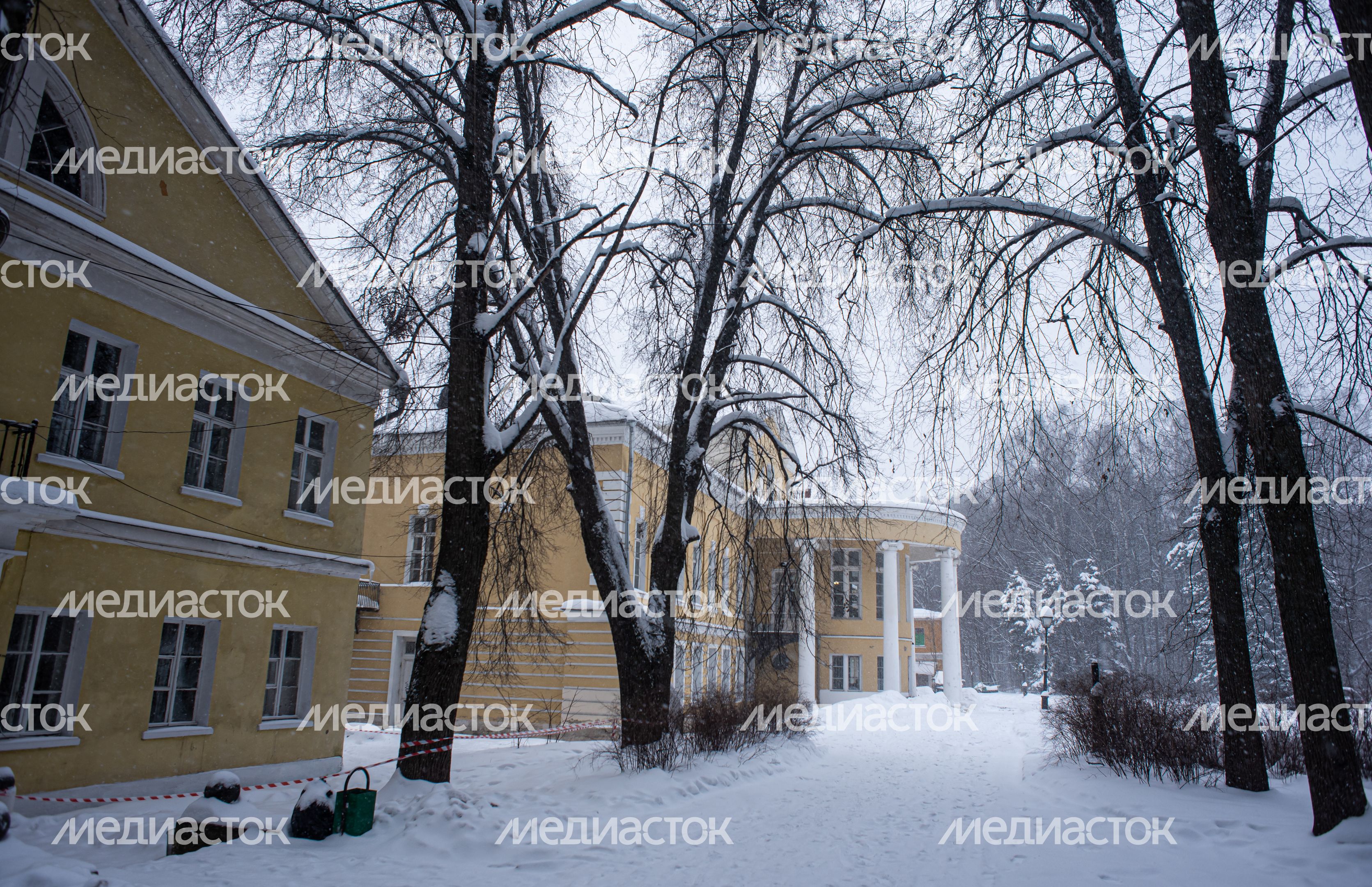 Зимние виды усадьбы Суханово