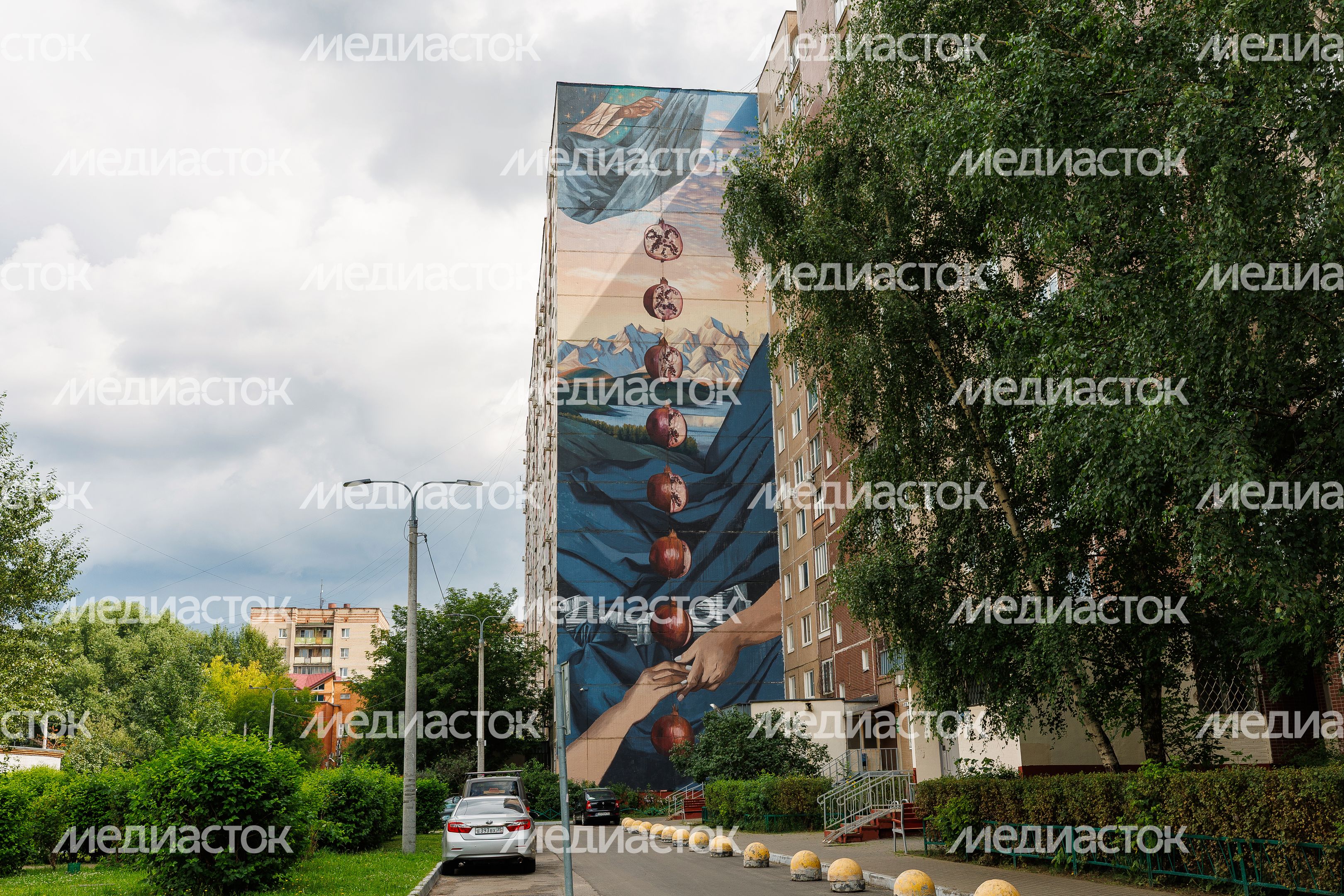 Муралы в Железнодорожном, Балашиха
