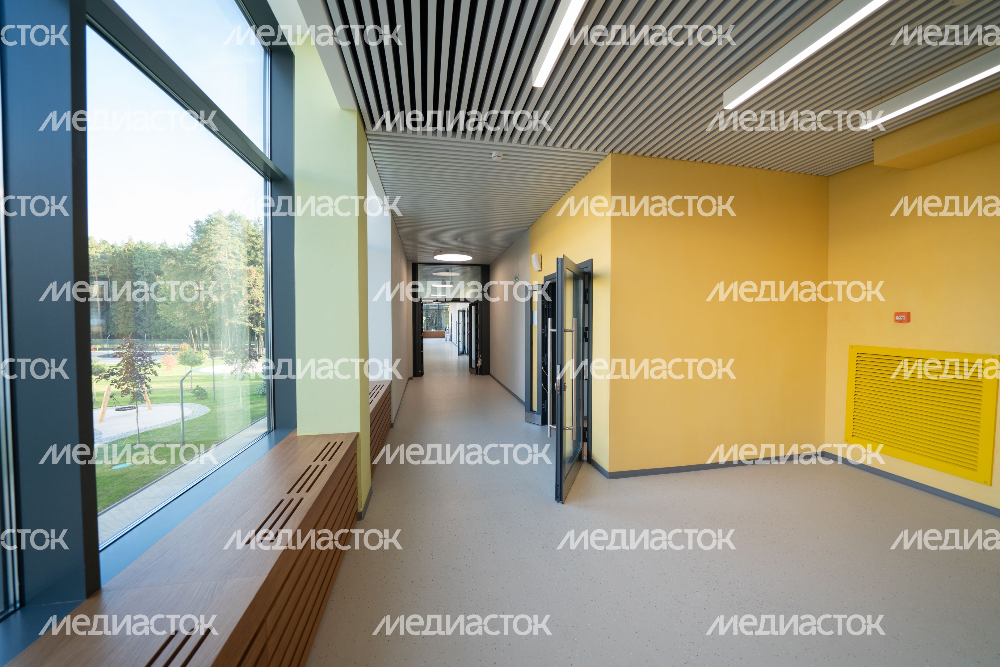 Истра. Областной технолицей им. В.И. Долгих