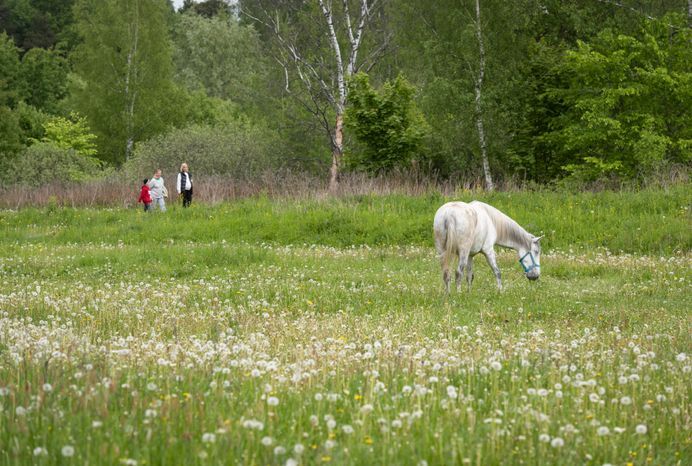 Мельница в Истре