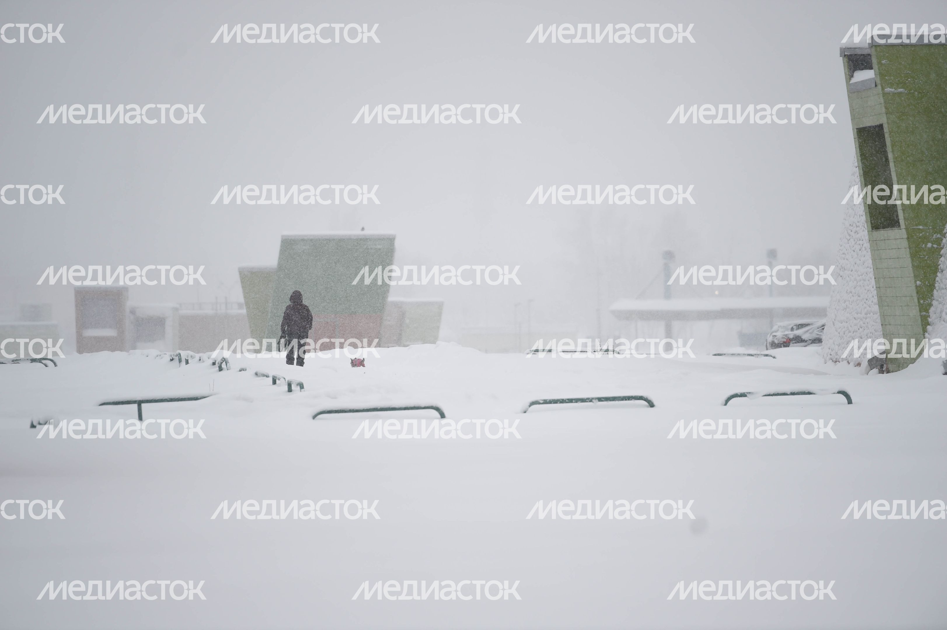 Рекордный снегопад в Москве и Подмосковье