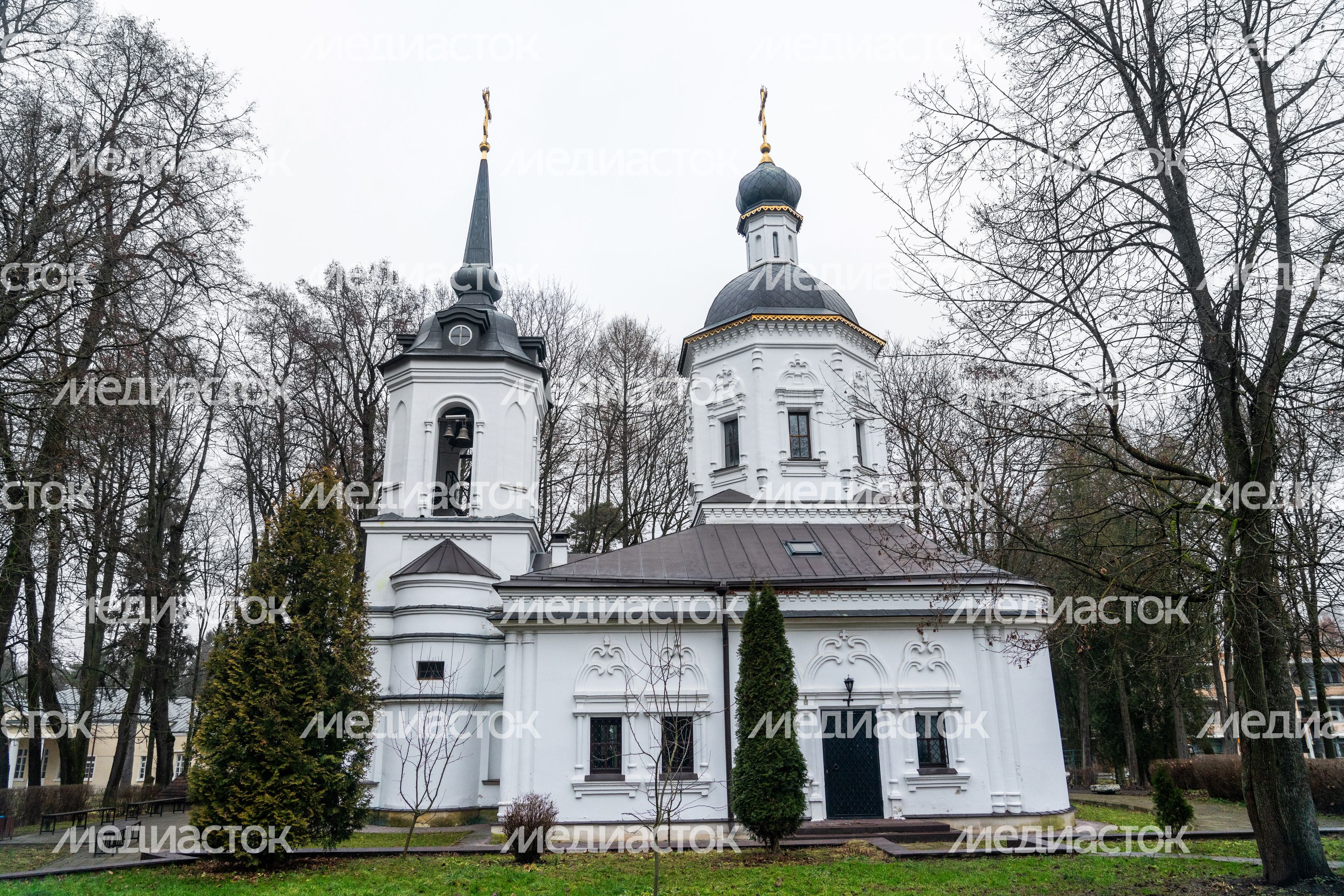 Церковь Рождества Пресвятой Богородицы в деревне Васькино округа Чехов Церковь Рождества Пресвятой Богородицы в деревне Васькино округа Чехов