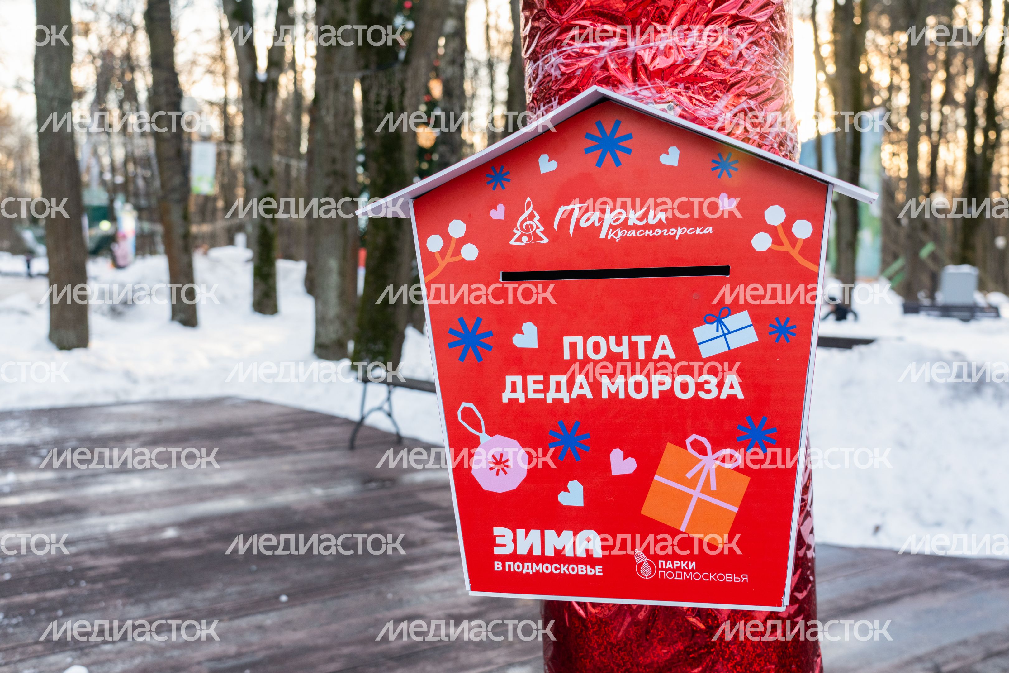 Зима в Красногорском городском парке Зима в Красногорском городском парке