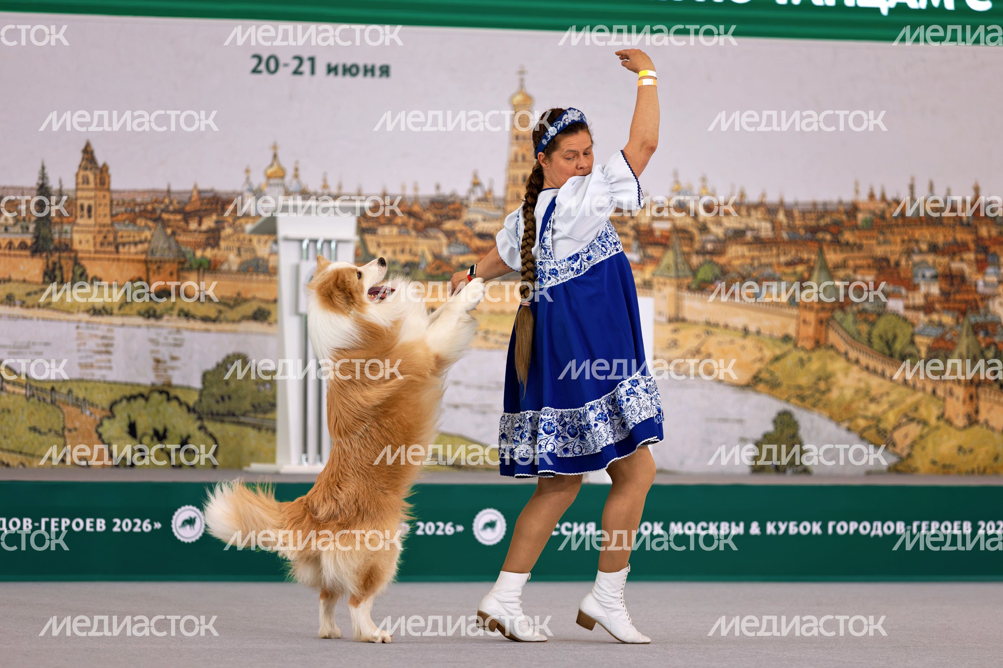 Собаки 261 породы на Национальной выставке собак всех пород в КВЦ «Патриот Экспо» Одинцовского округа