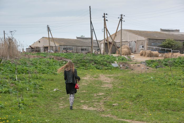 Конюшня-приют «Шанс на жизнь» в Клинском районе Подмосковья