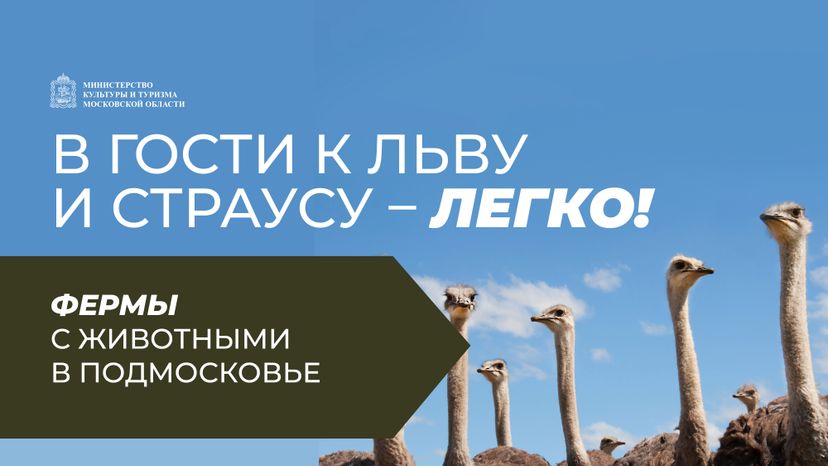 Фермы с животными
