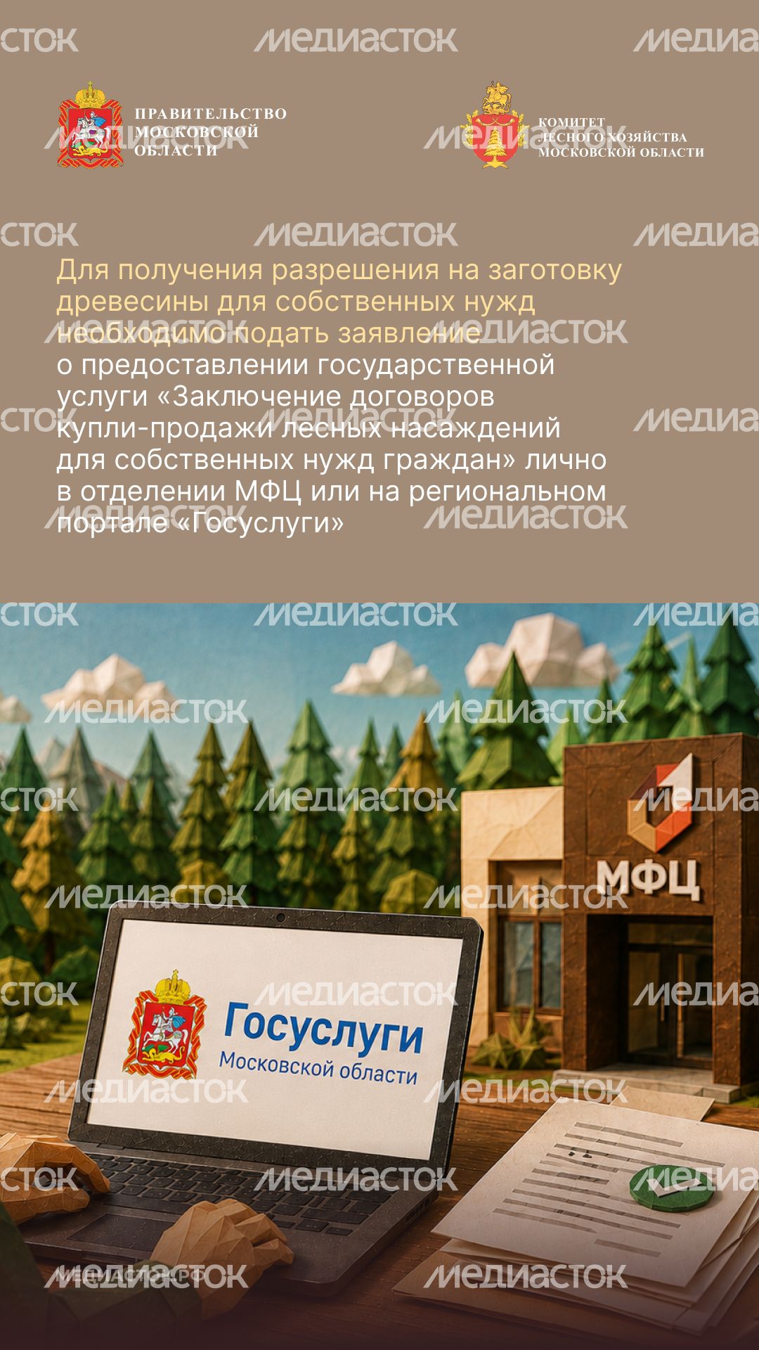 Как заготовить древесину вертикаль 05