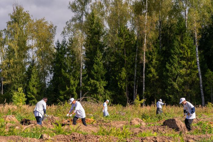 Саженцы сосны и ели высадили на экологической акции «Сохраним лес» в Рузском округе