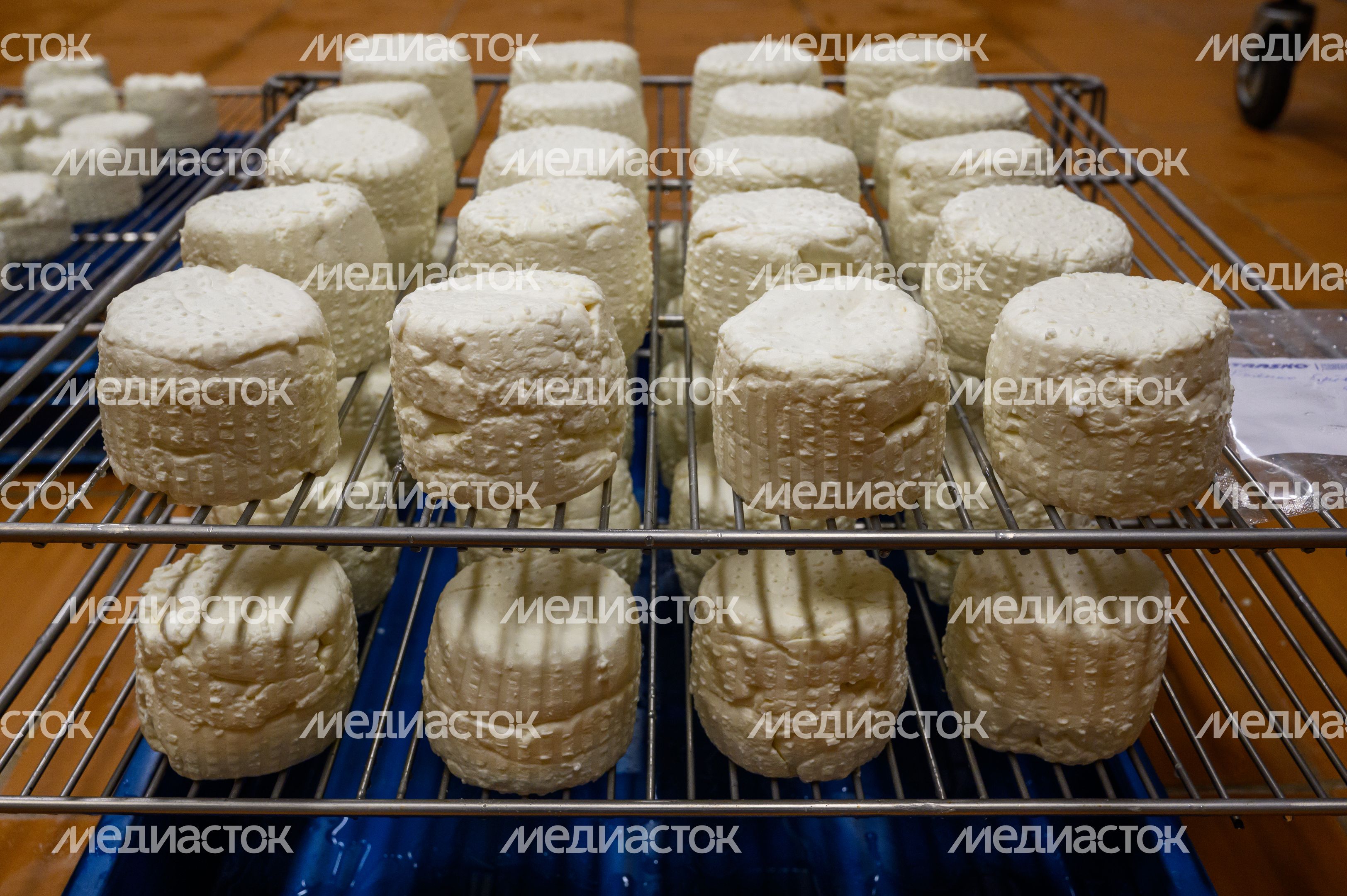 Экоферма «Былинкино» в Луховицах – козья ферма, сыроварня и экоотель