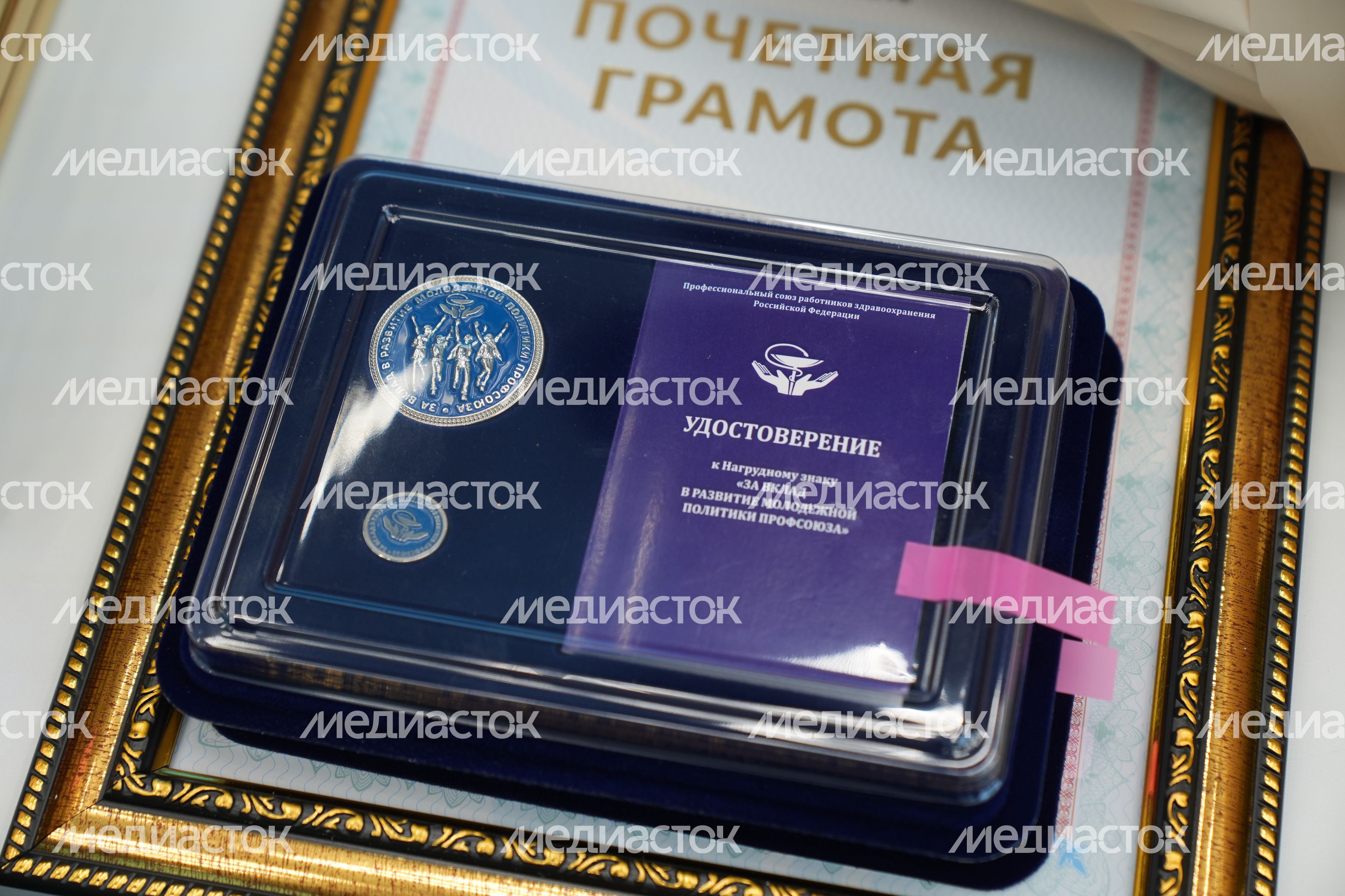 Подмосковных медиков поздравили с профессиональным праздником Подмосковных медиков поздравили с профессиональным праздником
