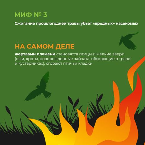 комлесхоз_пал_кв_4.jpg