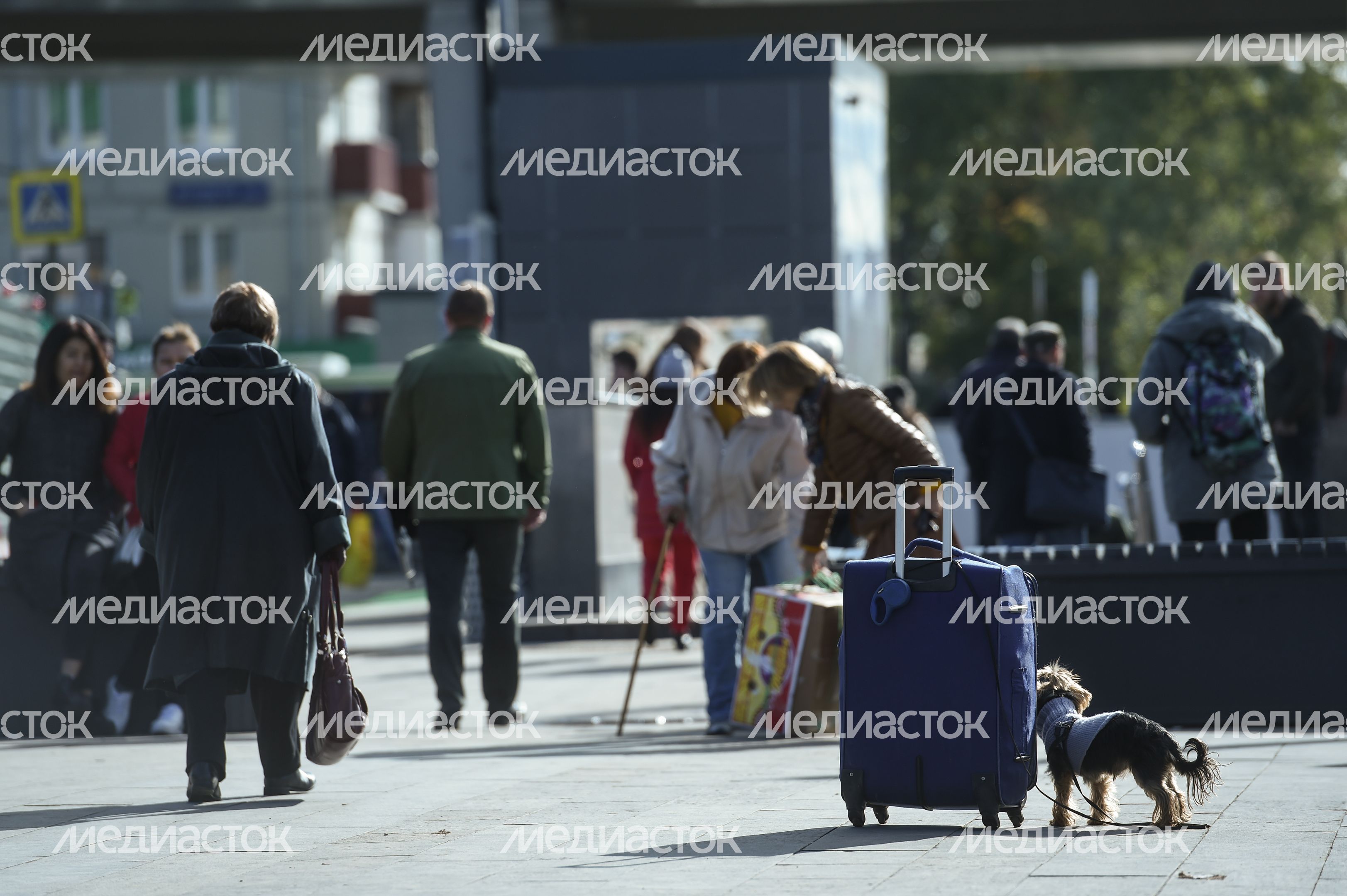 Пенсионеры на улицах Москвы