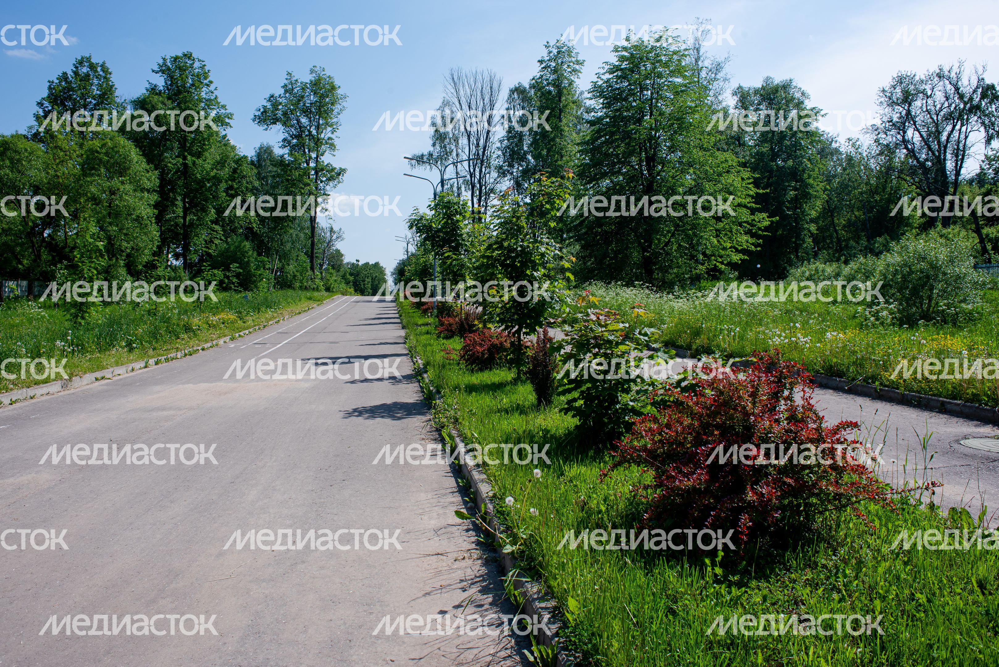 Летние виды города Яхрома