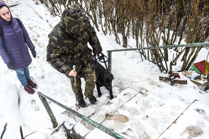 Школа собак‑проводников в Подмосковье